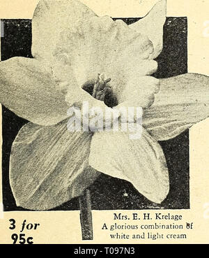 Dreer guide de plantation d'automne 1944 Banque D'Images