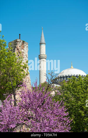 Turquie, Istanbul, Sultanahmet, Parc van der Yerebatan-Zisterne am Anfang der Divan Yolu, Wasserturm über der Zisterne und Minarett der Sainte-sophie Banque D'Images