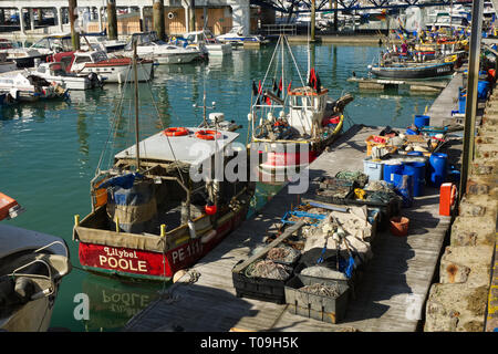 Les bateaux de pêche amarrés au port de plaisance, Brighton, East Sussex, Angleterre Banque D'Images