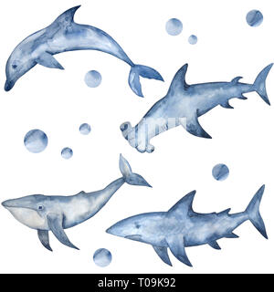 Aquarelle hammerhead, requin, des dauphins et des baleines. Aquarelle peinte à la main sous-habitants Banque D'Images