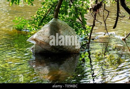 Sac en plastique renforcé en décomposition pris sur les branches des arbres surplombant la rivière Torridge, découverte à l'eau d'été. Great Torrington Banque D'Images