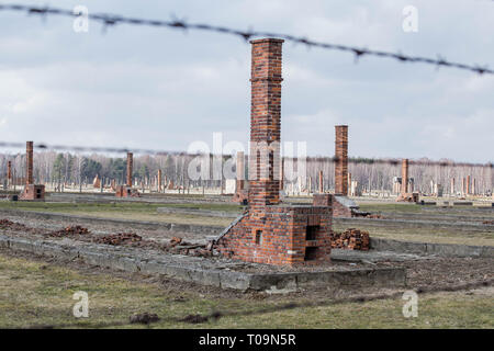 Auschwitz II Birkenau, ruines de casernes à Birkenau. Les poêles et cheminées sont tout ce qui reste de l'ancien camp de concentration en bois mars 12 casernes Banque D'Images