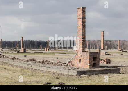 Auschwitz II Birkenau, ruines de casernes à Birkenau. Les poêles et cheminées sont tout ce qui reste de l'ancien camp de concentration en bois mars 12 casernes Banque D'Images