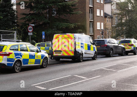 Brentwood, Essex, Royaume-Uni. 18 Mar 2019. Des policiers armés d'un grand incident a eu lieu dans la région de Brentwood Essex. Environ six à huit véhicules de police banalisés et marquée par des chiffres de la police armée ont été impliqués dans l'incident. Il semble que deux ou trois hommes ont été arrêtés à la suite de l'activité Il n'est pas clair si l'incident a été Crédit liés au terrorisme : Ian Davidson/Alamy Live News Banque D'Images