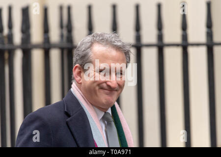 Londres, Royaume-Uni. 19 mars 2019, Damian Hinds MP PC Secrétaire de l'éducation arrive à une réunion du Cabinet au 10 Downing Street, Londres, Royaume-Uni. Crédit : Ian Davidson/Alamy Live News Banque D'Images