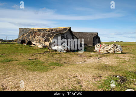 Hareng tournée vers les bateaux utilisés comme hangars de stockage sur l'île de Lindisfarne (Île Sainte) sur la côte du nord de l'Angleterre Northumbrian, UK, FR. Banque D'Images