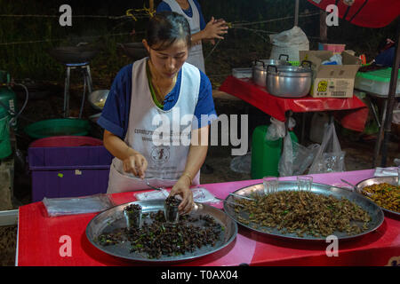 Préparation des insectes à manger à la marché de nuit de Chiang Rai Banque D'Images