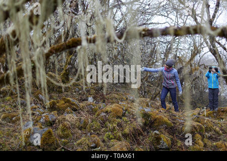 La mère et le fils dans une forêt sur la façon de KAngding, Sichuan, Chine Banque D'Images