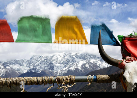 Les drapeaux de prières au 4,298m Col Zheduo Shan, squelette de tête de yak, vue panoramique sur les montagnes, Kangding, Shanghai, Chine Banque D'Images