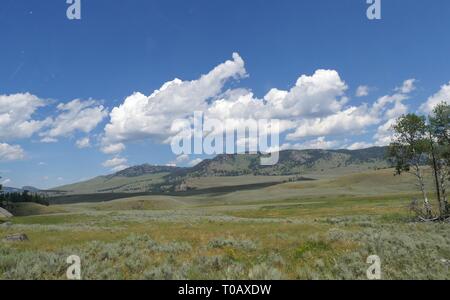 Belles collines ondoyantes et prairie verte avec de magnifiques nuages dans le ciel au parc national de Yellowstone. Banque D'Images