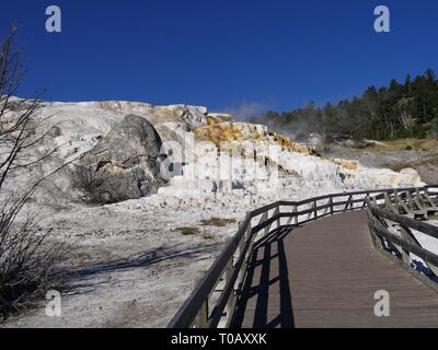 La promenade jusqu'à Mammoth Hot Springs situé près de l'entrée nord du Parc National de Yellowstone. Banque D'Images