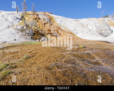 Mammoth Hot Springs à couper le souffle situé près de l'entrée nord du Parc National de Yellowstone. Banque D'Images