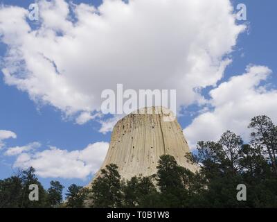 Photo ascendante de la Tour Devils dans le Wyoming, avec des arbres sur la base et des nuages à couper le souffle dans le ciel. Banque D'Images