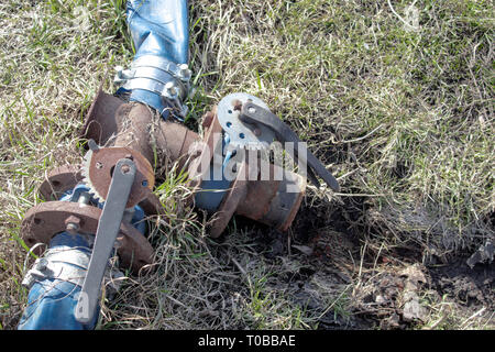 Appuyez sur un fer à repasser avec des commutateurs et une flûte, bleu pour l'eau, sur l'herbe verte. Banque D'Images