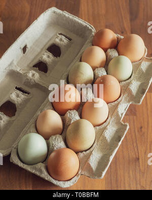 Les oeufs de poulet frais coloré en carton Banque D'Images