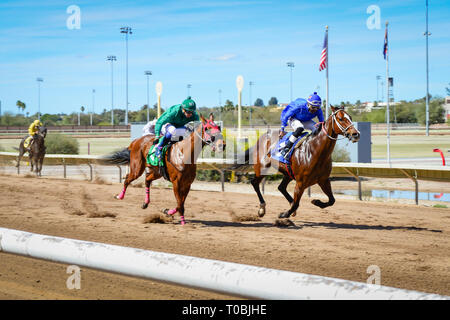 Vue de la dernière ligne droite pour chevaux de course à la ligne d'arrivée à la Rillito Park Race Track à Tucson, AZ Banque D'Images