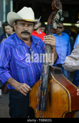 Close up d'un musicien jouant son Ranchera Stand up Bass wearing straw cowboy hat au Rillito Park Race Track à Tucson, AZ, États-Unis d'Amérique Banque D'Images