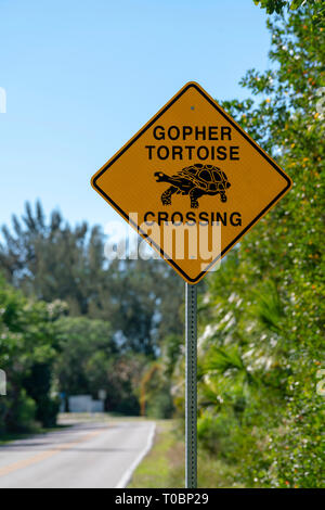 Panneau d'avertissement jaune à surveiller gopher tortoise sur la route Banque D'Images