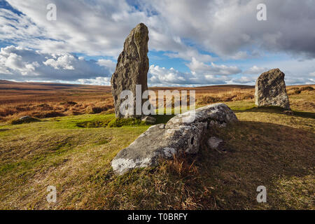Comité permanent des pierres sur l'ancien cercle de pierres, Scorhill sur Gidleigh commun, Dartmoor National Park, Devon, Grande Bretagne. Banque D'Images