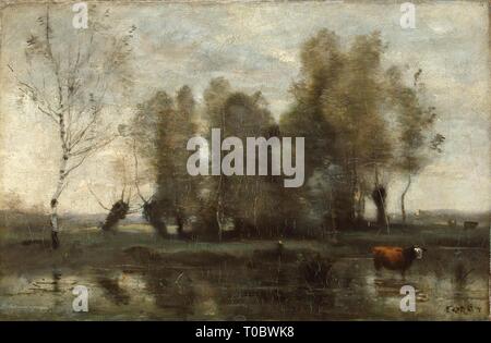 'Arbres dans un marais'. La France, entre 1855 et 1860. Dimensions : 25,5x38 cm. Musée : Etat de l'Ermitage, Saint-Pétersbourg. Auteur : Jean-Baptiste-Camille Corot. Banque D'Images