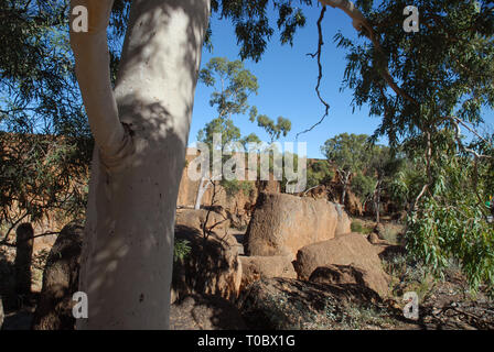 CANYON de dinosaures, l'Australian Age of Dinosaurs Museum of Natural History, Winton, Queensland, Australie. Banque D'Images