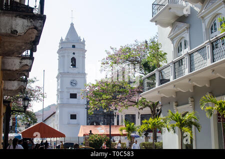 Parc de la cathédrale dans le Casco Viejo Banque D'Images