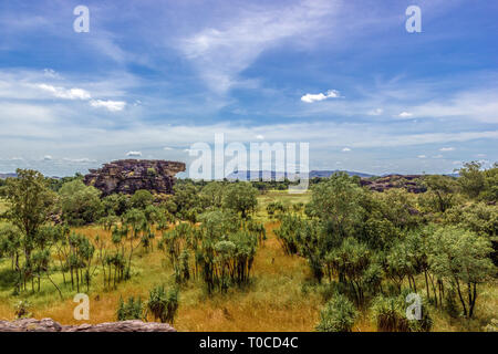 Panorama depuis l'Nadab Lookout à ubirr, le parc national de Kakadu. Il ressemble à une savane africaine - Australie Banque D'Images