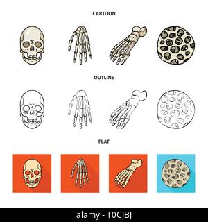 Crâne,poignet,foot,mort,fibres,vente,cheville,sain,monster,calcium,scientifique,mal,structure de la podologie,horreur,muscle du bras, l'avant-pied,épithélium,tatouage,carpe,DE,panneaux,épiderme,chef,health,les pieds plats,oeil,tendon,xray,circulation,cell,médecine, biologie médicale,clinique,os,squelette,anatomie,des,organes,,set,icône,,illustration,collection,isolé,design,graphisme,élément vecteur vecteurs,signer , Illustration de Vecteur