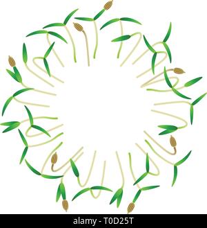 Microgreens carotte. Disposées en cercle. Supplément de vitamines, de nourriture vegan Illustration de Vecteur