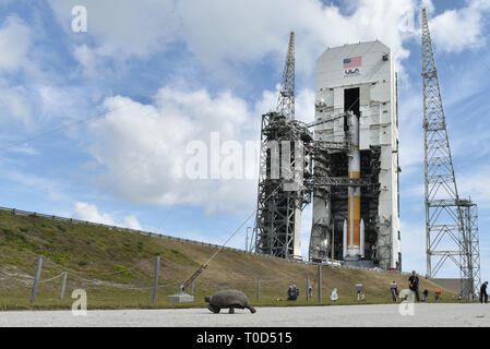 L'Alliance prépare le lancement de la fusée Delta IV WGS-10 Wideband Global SATCOM satellite à Cape Canaveral Air Force Station, en Floride 37 complexe le 15 mars 2019. Le satellite apporte une meilleure fonction de communication pour le commandement et le contrôle des forces militaires américaines sur le champ de bataille. (U.S. Air Force photo par un membre de la 1re classe Dalton Williams) Banque D'Images