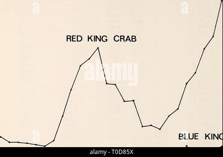L'Est de la mer de Béring Durée de l'Est de la mer de Béring Tablette : océanographie et ressources / edited by Donald W. Hood et John A. Calder easternberingsea00hood Année : 1981 1044 biologie des pêches 100 90 80 5 70 X 50 o &Lt ; O 30 40 20 10 - le crabe royal rouge KING CRABE BLEU I R I I I I T F V . 54 56 58 60 62 64 66 68 70 72 74 76 78 Année Figure 61-6. Tous les débarquements de la nation de crabe royal rouge et bleu de l'est de la mer de Béring au sud de 58°. Pêche est presque le double de celle de 1977 (peut-être 40 000 tonnes nettes). Le roi les casiers sont construits avec des cadres en acier (souvent des barres d'armature pour béton) et web. U Pots Banque D'Images