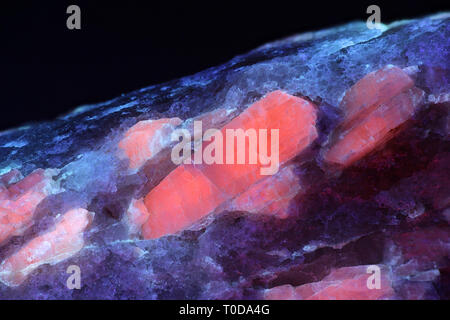 Les cristaux du minerai de lithium industriel majeur le spodumène montrant la fluorescence rouge dans la lumière ultraviolette (365 nm). À partir de l'échantillon dans la carrière de lithium Haapaluoma Banque D'Images