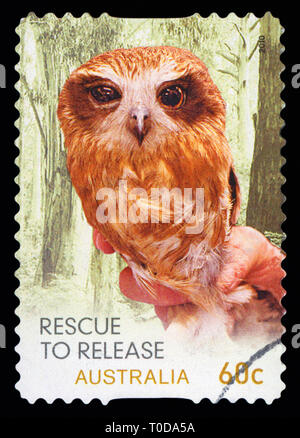L'AUSTRALIE - circa 2010 : timbre imprimé en Australie montre owl Rescue pour relâcher, vers 2010. Banque D'Images