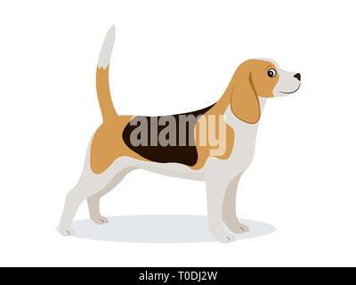 Beagle, icône mignon petit chien de chasse avec un pelage brun et blanc isolé, animal domestique, vector illustration Illustration de Vecteur