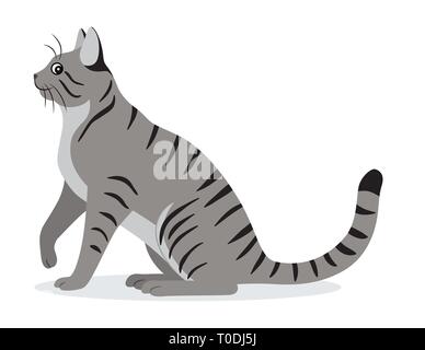 Enduit lisse chat tigré avec longue queue, l'icône gris mignon animal, animal domestique, vector illustration Illustration de Vecteur