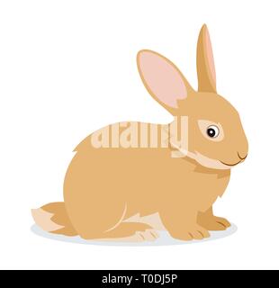 L'icône de lapin mignon petit animal duveteux, isolé avec de longues oreilles, animal domestique, vector illustration Illustration de Vecteur