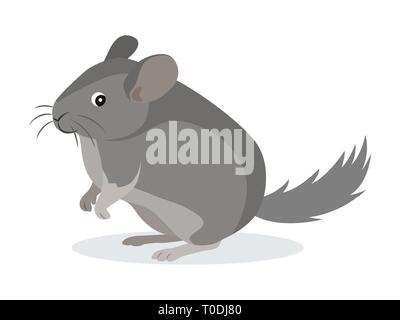 Chinchilla gris mignon pelucheux, icône de l'animal de compagnie, animal domestique, rongeur, vector illustration Illustration de Vecteur