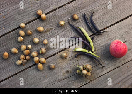 Les gousses de pois, haricots, noix et noisettes pomme rouge sur les planches de bois à l'extérieur, vue du dessus Banque D'Images