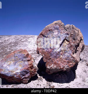 Le bois pétrifié, Parc National de la Forêt Pétrifiée, Arizona Banque D'Images