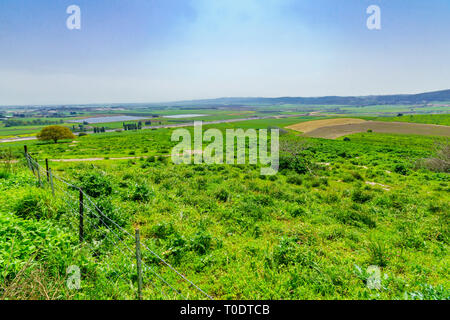 Paysage de la vallée de Jezreel, de Bet Shearim (Shekh Abrek hill), le nord d'Israël Banque D'Images