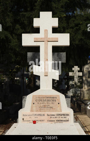 Tombe du peintre russe Zinaida Serebriakova (1884-1967) au Cimetière Russe de Sainte-Geneviève-des-Bois (Cimetière Russe de Sainte-Geneviève-des-Bois) près de Paris, France. Son fils Alexandre (1907-1995) et sa fille Catherine Serebriakoff (1913-2014) qui étaient également peintres sont enterrés ici aussi. Banque D'Images