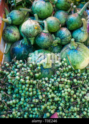 Close up of green pumpkins exposés à la vente au marché, marché Phosy, Luang Prabang, Laos, Asie Banque D'Images