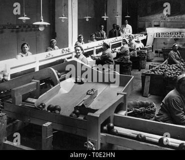 L'industrie alimentaire, Catane, Sicile, Italie 1920 Banque D'Images