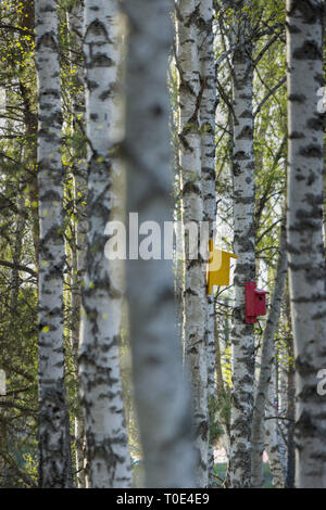 Deux de couleur jaune et rouge en bois peint oiseau perché sur les boîtiers des cabanes à bouleaux. La Suède Banque D'Images