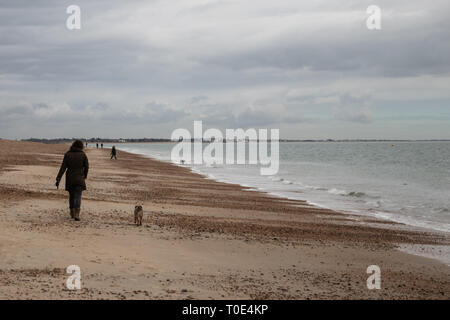 Jeune femme 30 ans promener son chien sur une plage britannique Banque D'Images