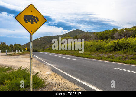 Panneau d'avertissement de passage à niveau sur la Tasmanie wombat road. Banque D'Images