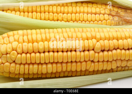 Et les feuilles de maïs frais, full frame, macro shot Banque D'Images