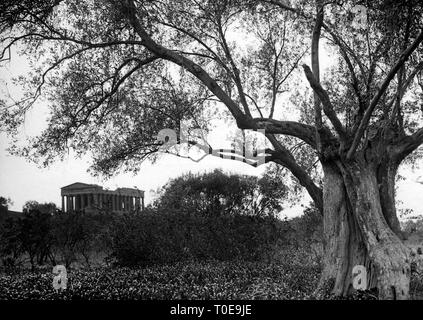 Temple de Concord, Agrigente, Sicile 1920-30 Banque D'Images