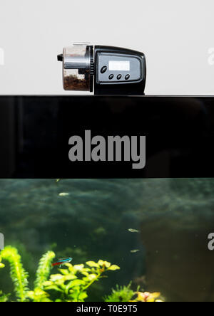 Chargeur automatique de pêcher debout sur le couvercle de l'aquarium. Banque D'Images