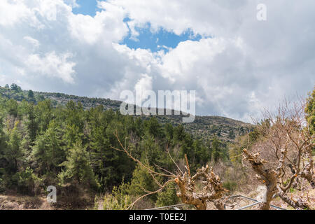 C'est une capture d'un paysage au Liban avec un beau vert des arbres et belles ciel bleu avec quelques nuages qui font de belles textures Banque D'Images